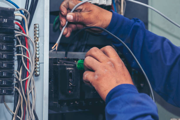 Best Electric Panel Repair  in Mayville, MI
