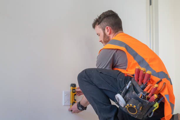 Best Ceiling Fan Installation Electrician  in Mayville, MI