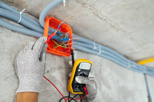 Best Electrical Troubleshooting Services  in Mayville, MI