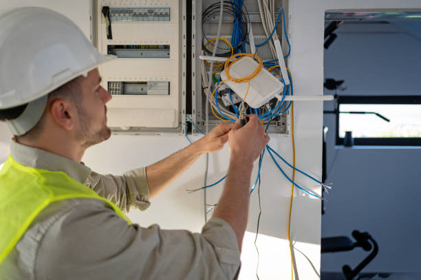 Best Local Electrician Companies  in Mayville, MI